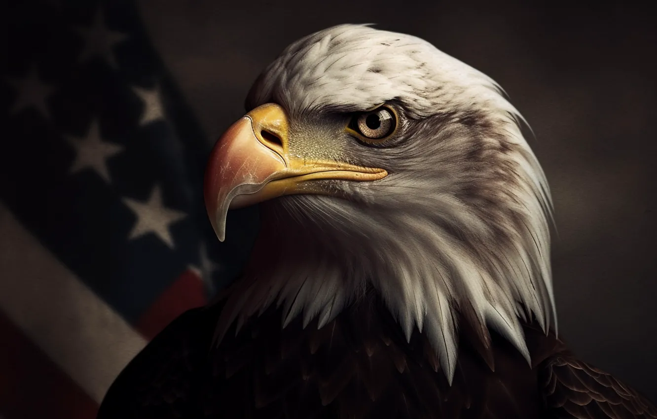 Photo wallpaper look, the dark background, bird, eagle, predator, head, beak, flag