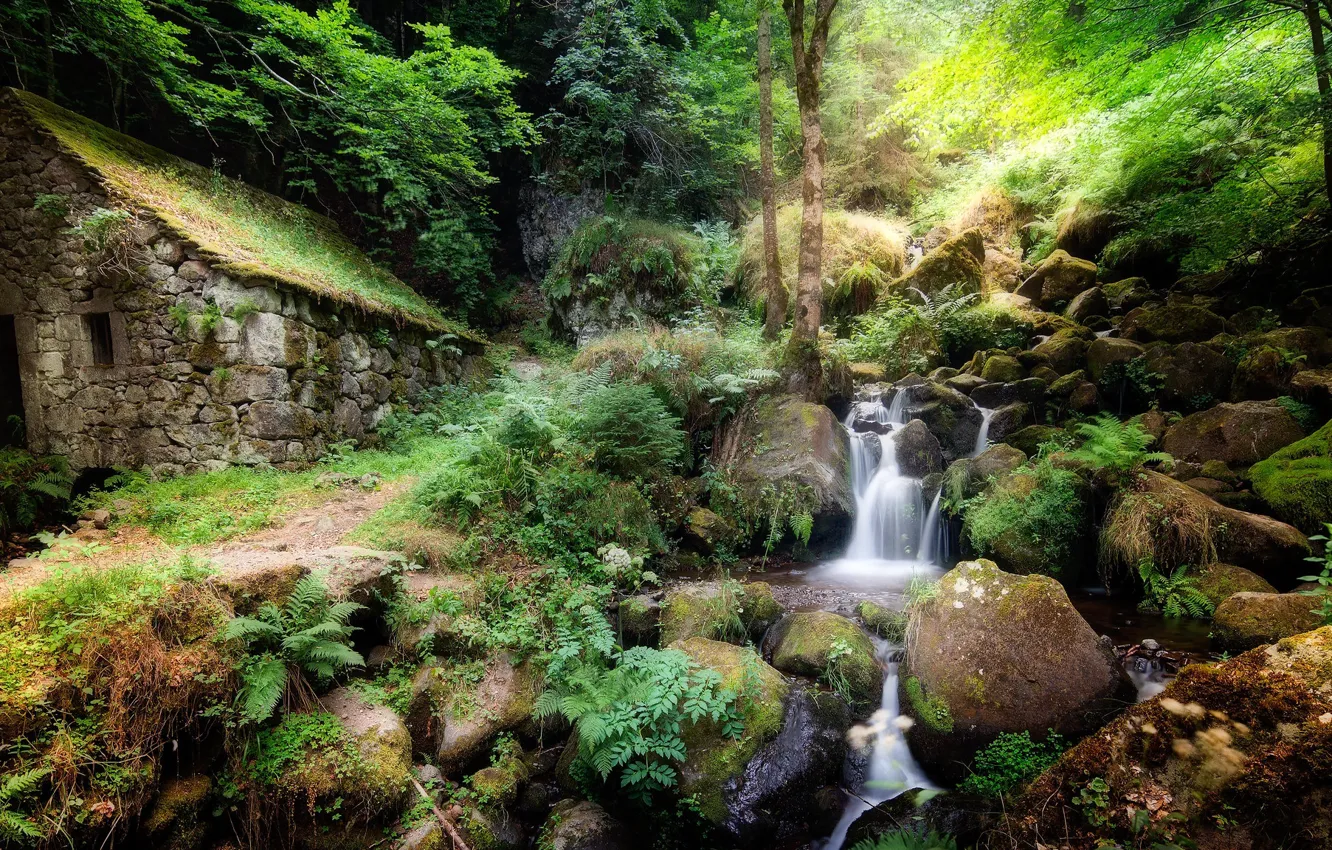 Photo wallpaper forest, stones, thickets, vegetation, waterfall, house