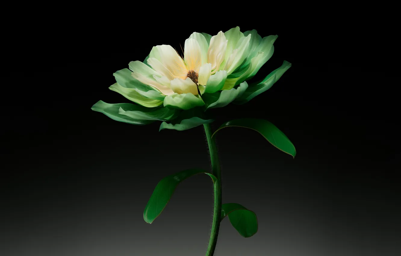 Photo wallpaper flowers, dark background, AI Art, Green flower, Digital flower