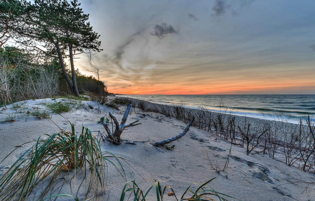 Photo wallpaper sea, sunset, shore