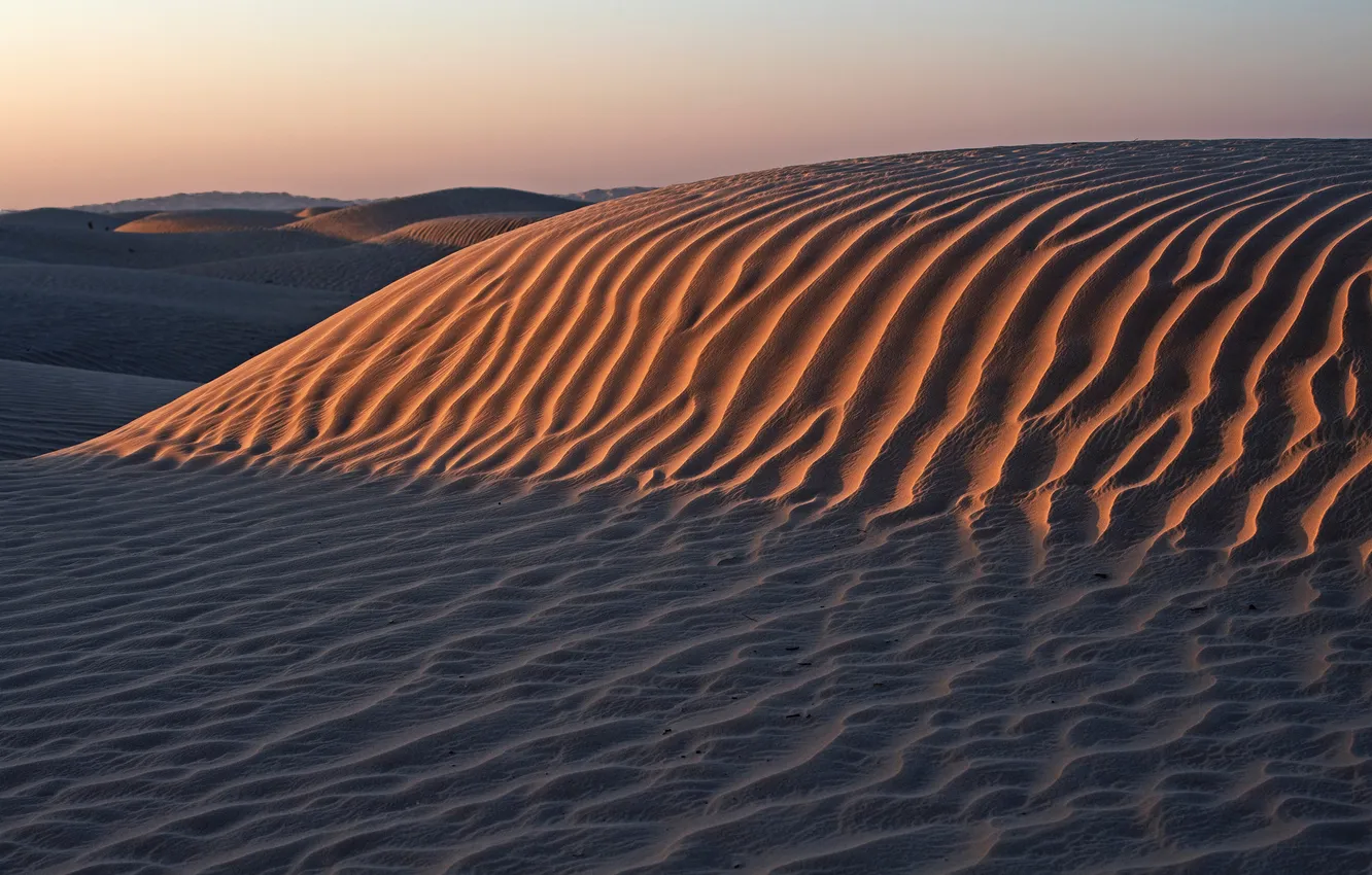 Photo wallpaper sand, the sky, landscape, nature, desert, horizon, barkhan, sky