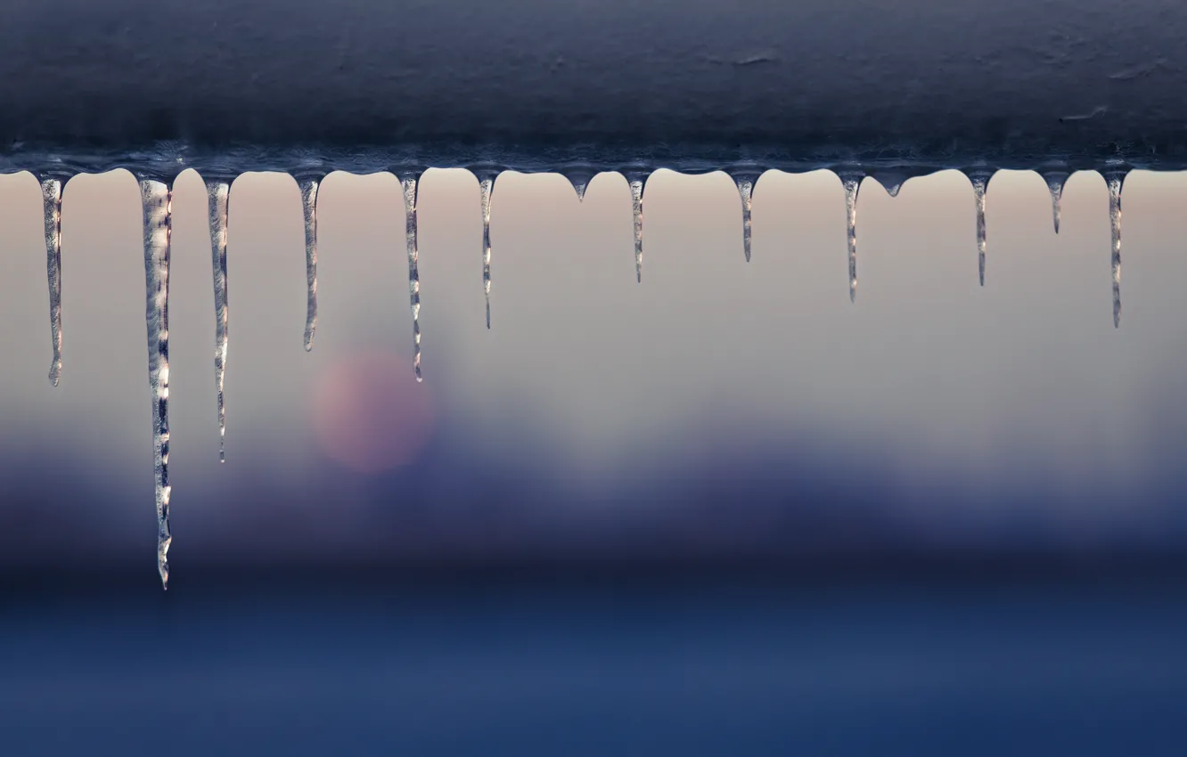 Photo wallpaper winter, macro, icicles