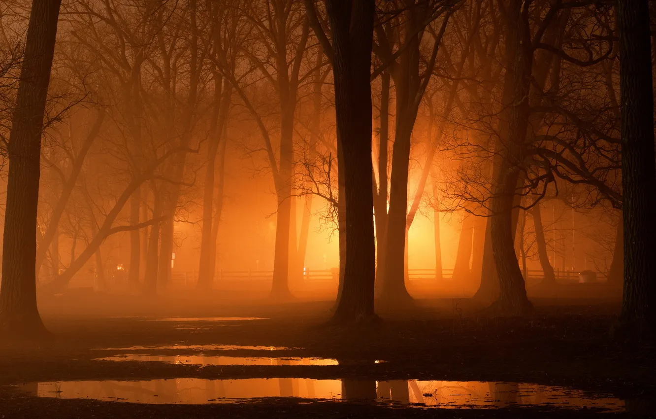 Photo wallpaper night, the city, Park, Toronto