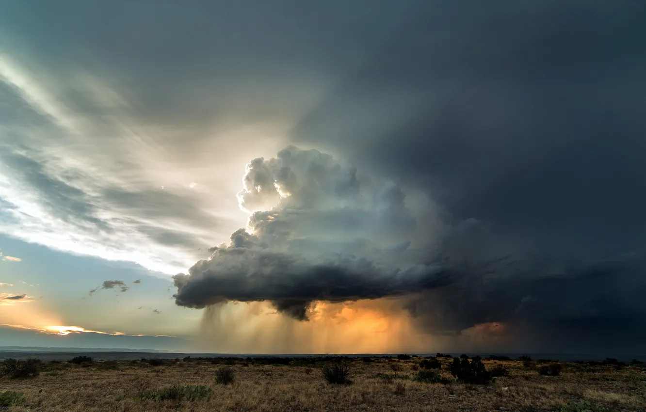 Photo wallpaper field, landscape, clouds, rain