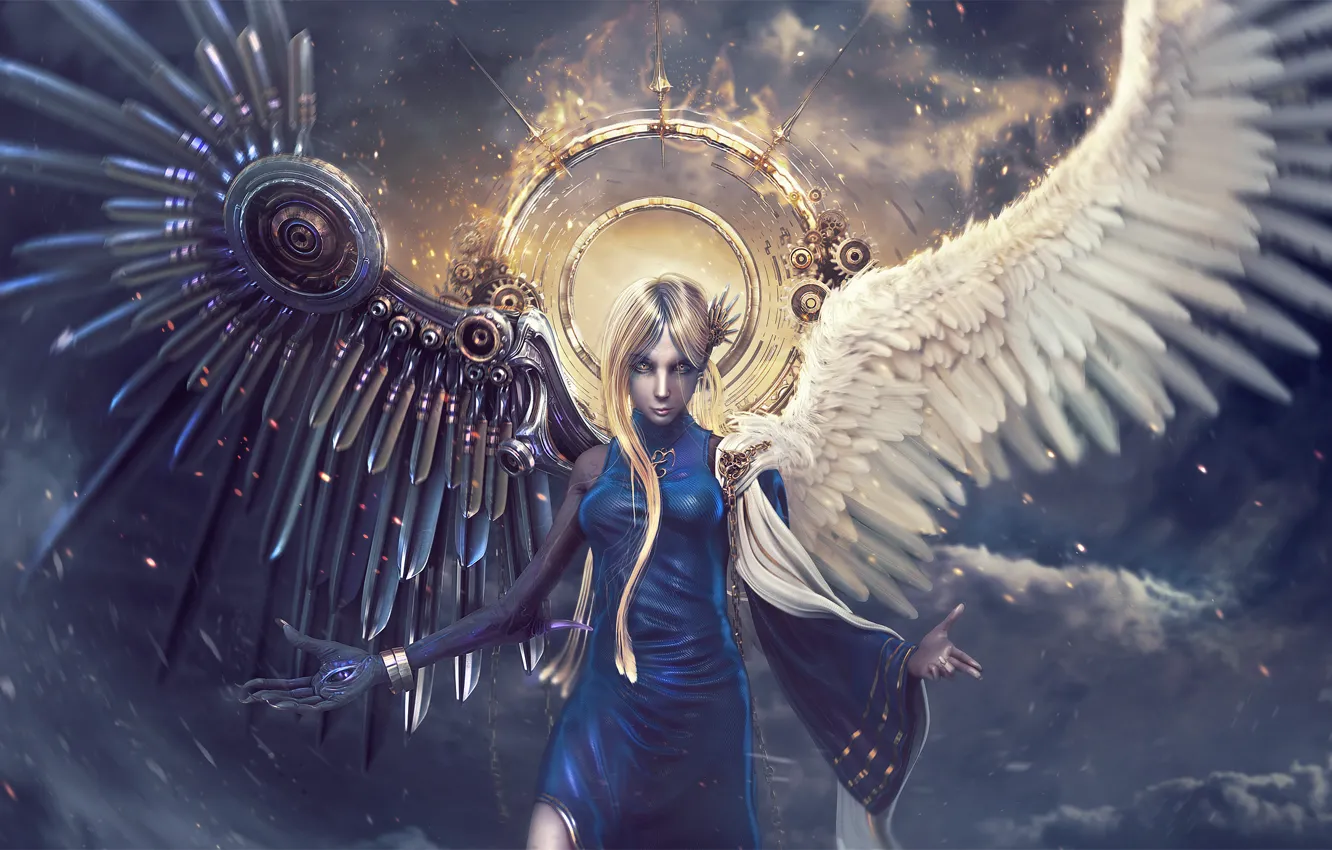 Photo wallpaper the sky, girl, wings, angel, the demon