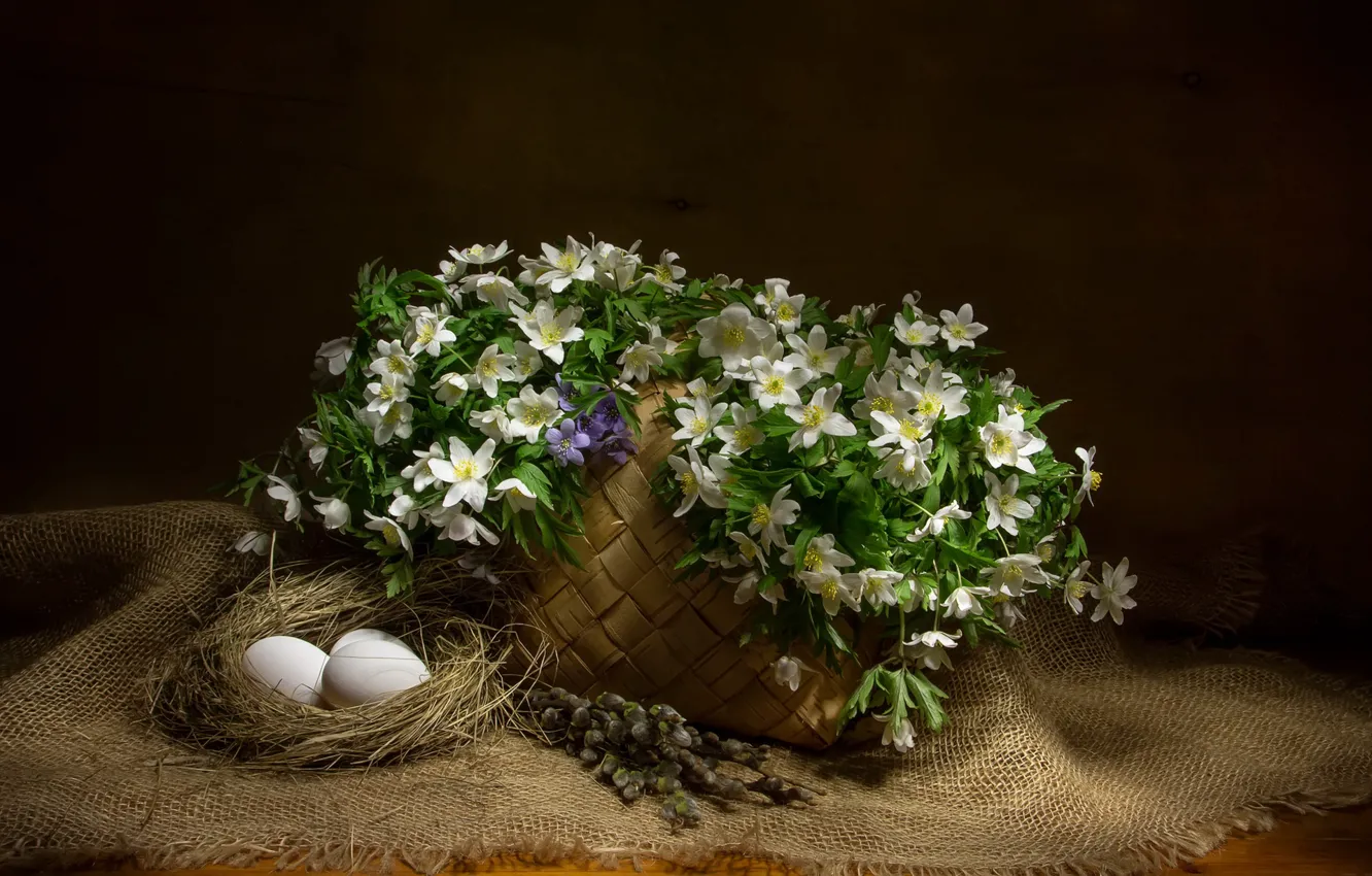 Photo wallpaper flowers, bouquet, still life, anemone