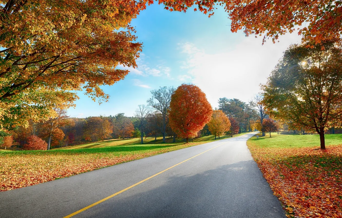 Photo wallpaper road, autumn, trees, foliage
