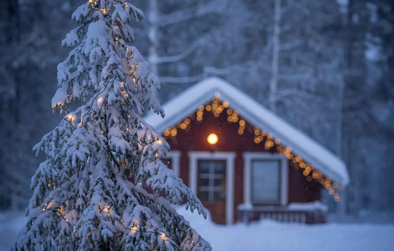 Photo wallpaper winter, holiday, tree