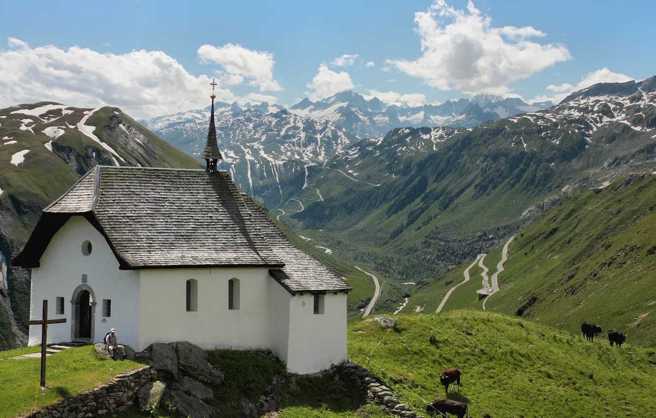 Photo wallpaper grass, view, Austria, Alps, church, cows