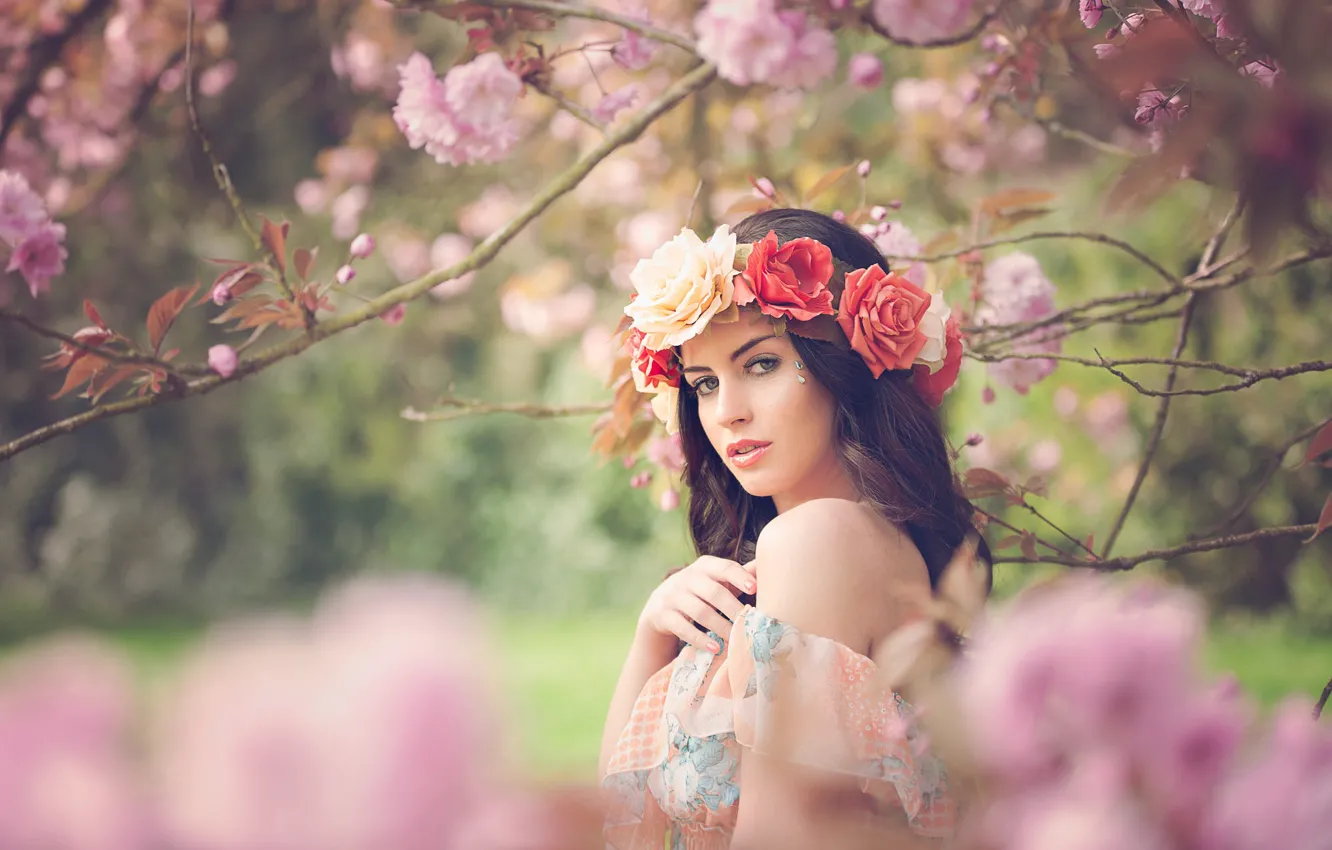 Photo wallpaper girl, flowers, branches, nature, spring, dress, brunette, flowering