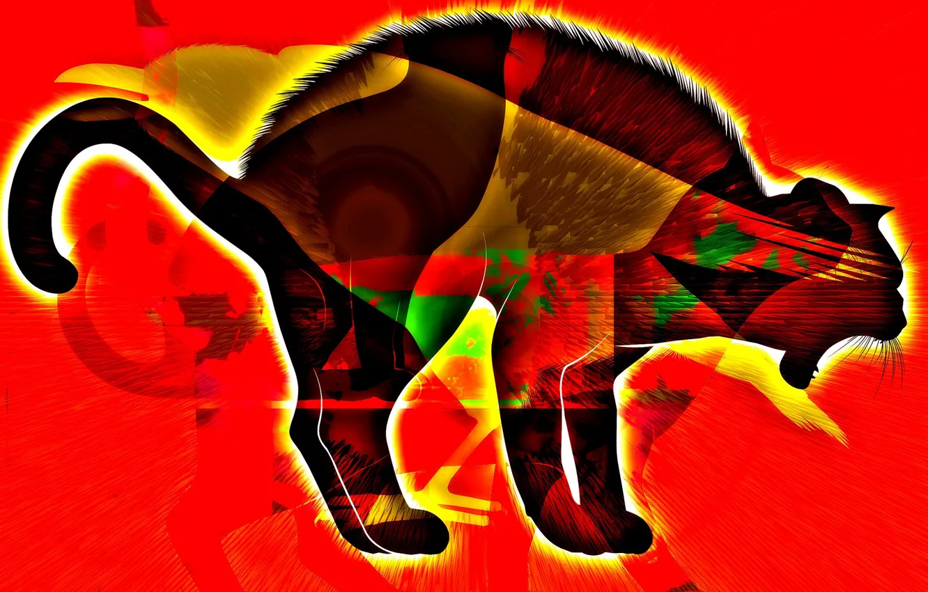 Photo wallpaper cat, background, color, silhouette