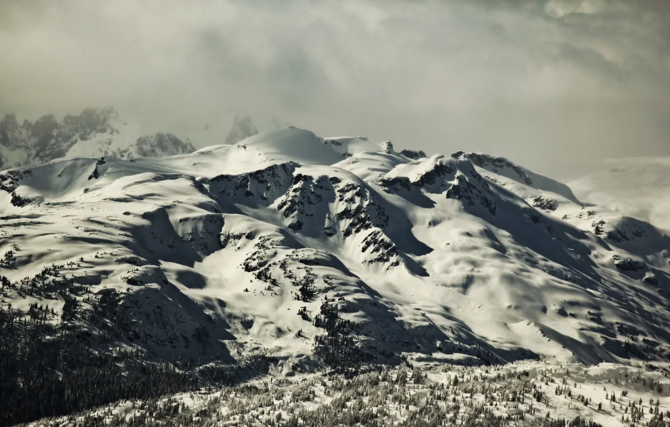 Photo wallpaper trees, winter, clouds, mountain, snow, fog, hills, pines