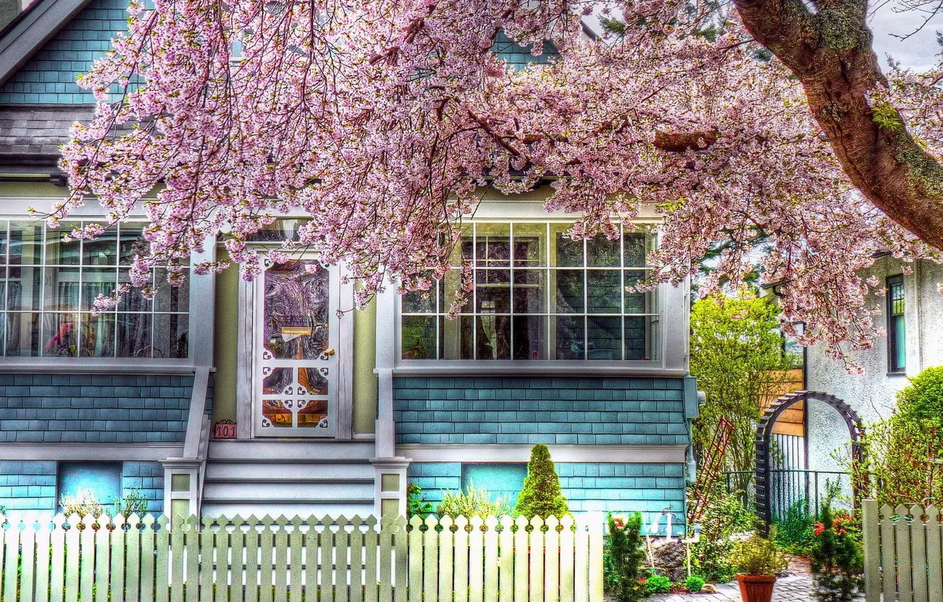 Photo wallpaper nature, house, photo, tree, color, HDR, spring, house