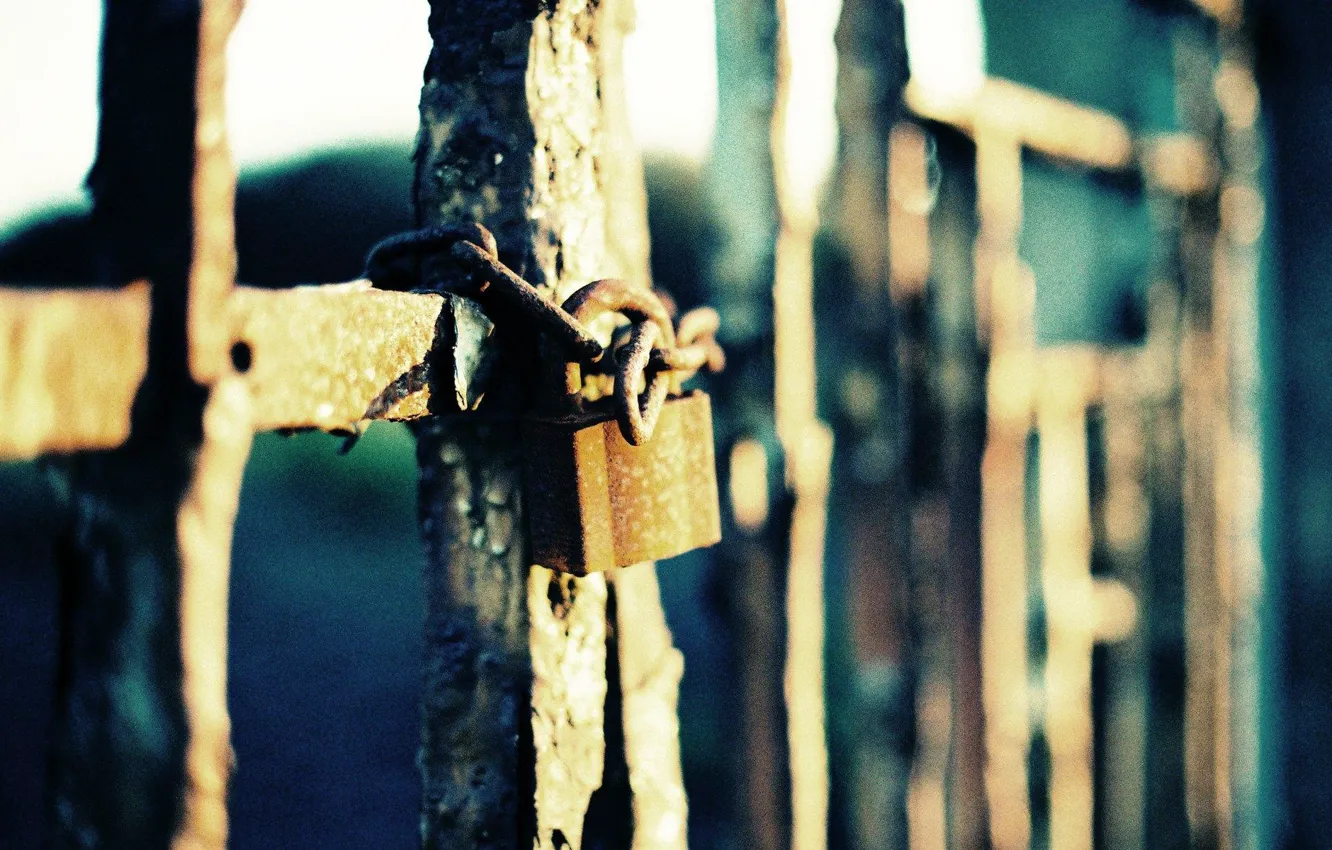 Photo wallpaper macro, castle, the fence, iron