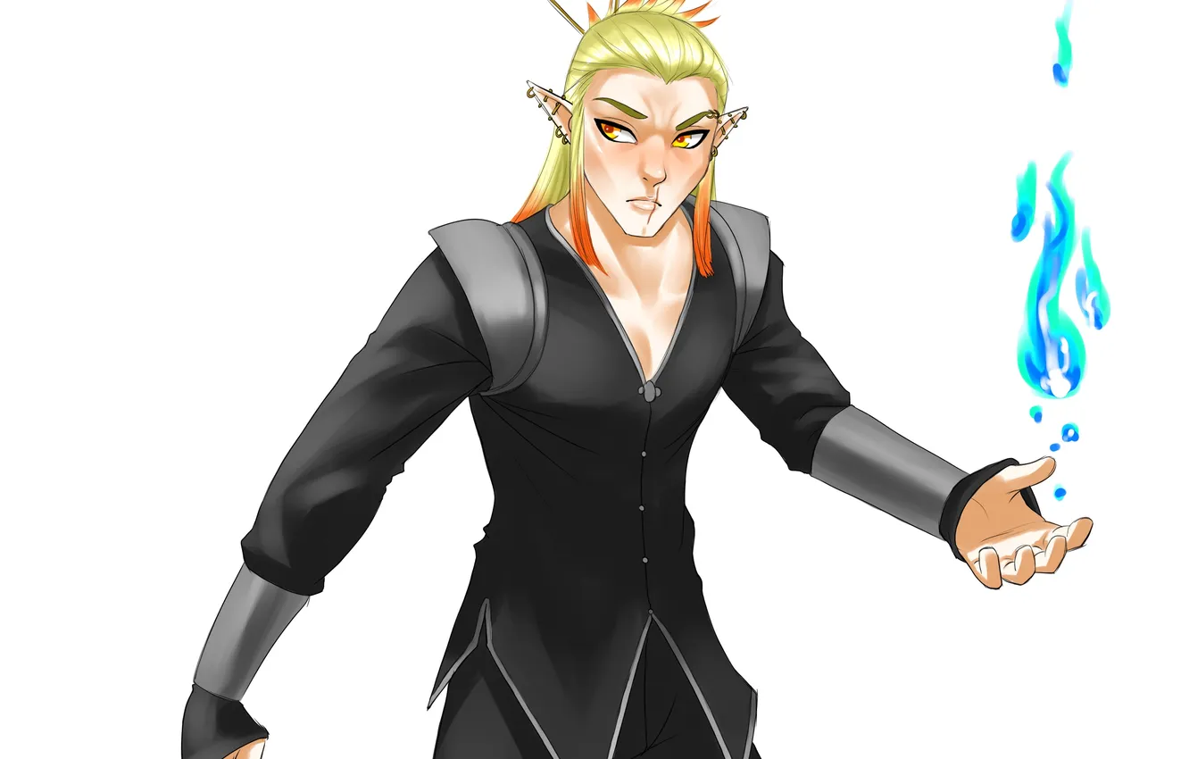 Photo wallpaper elf, anime, art, MAG, ears