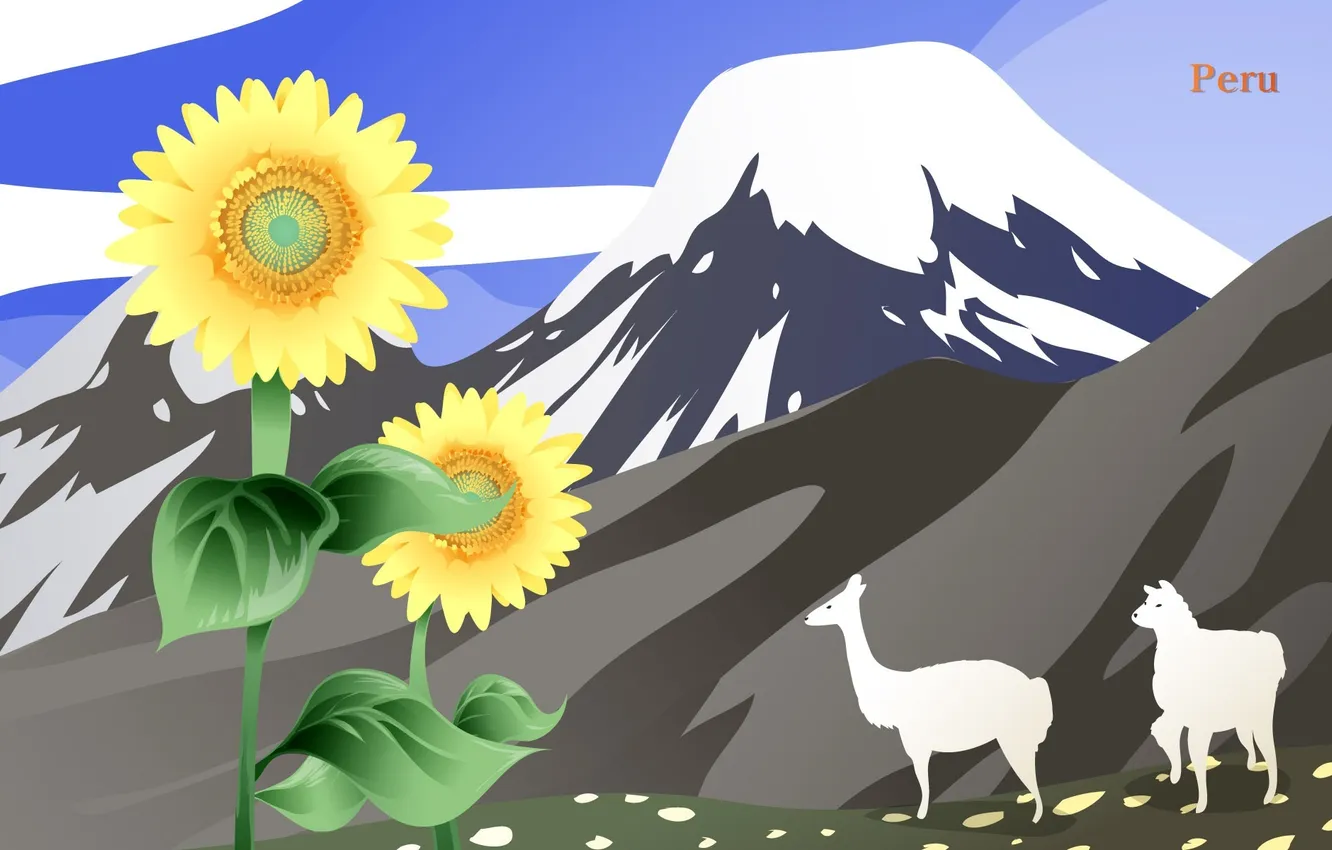 Photo wallpaper sunflowers, flowers, mountains, journey, tourism, country, Peru, Peru