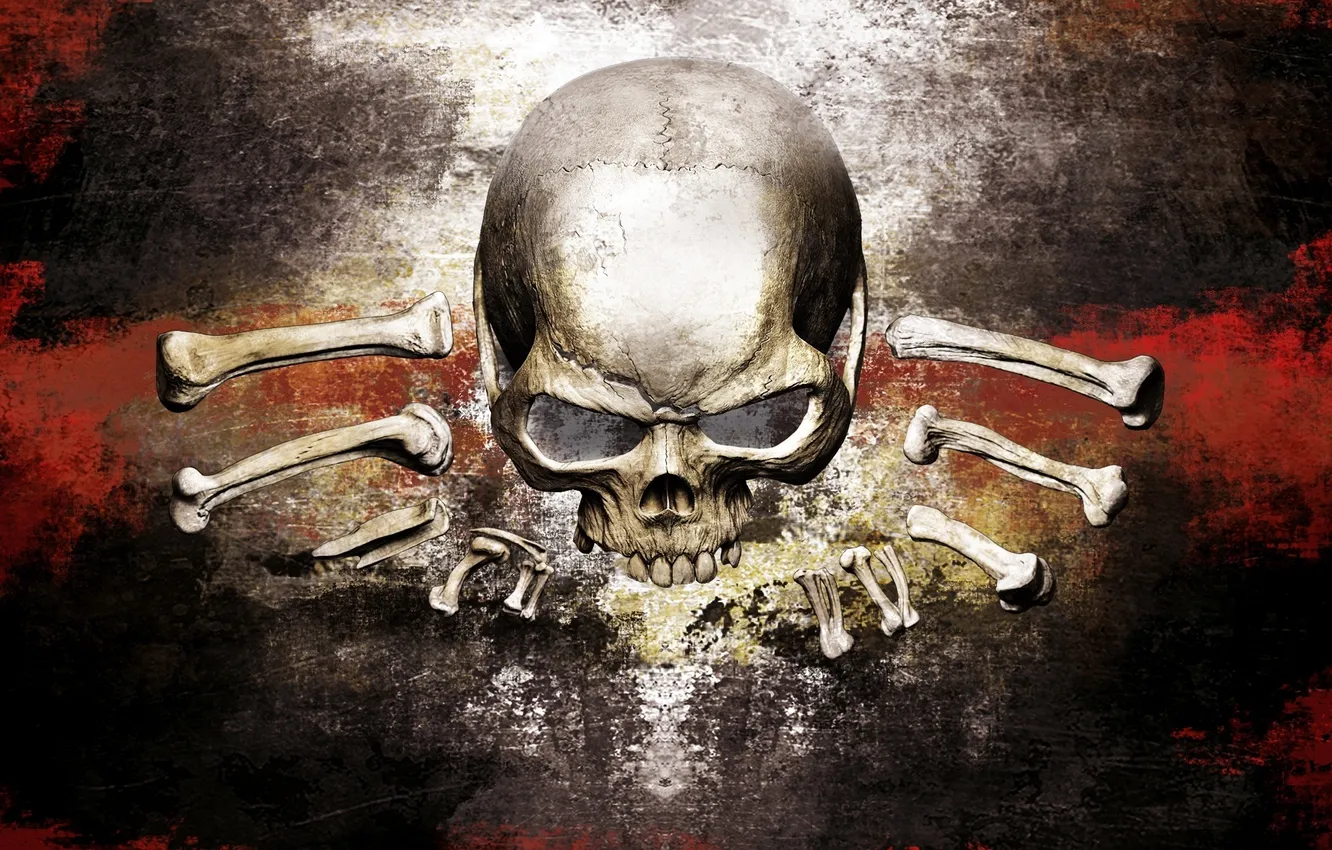 Photo wallpaper background, skull, texture, bones, rpg, Risen 2, Dark waters, risen