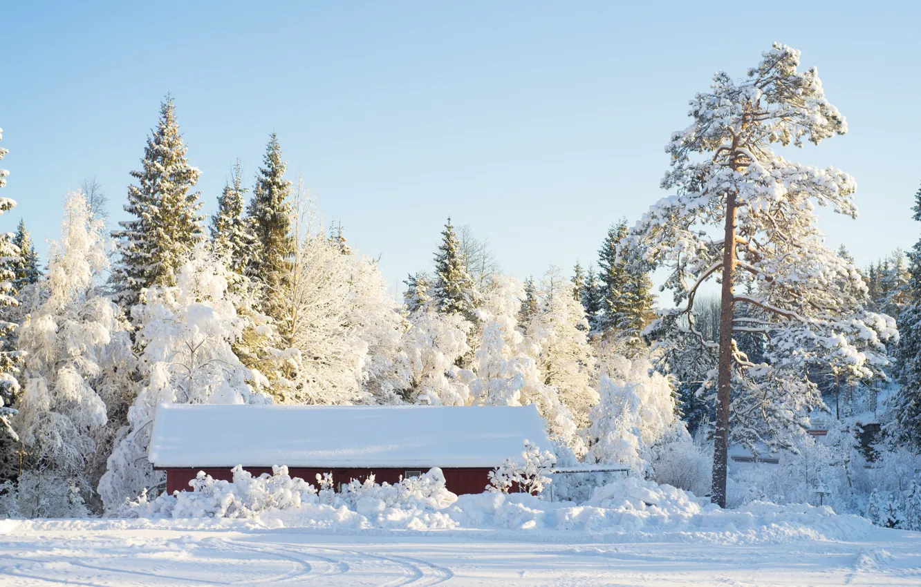 Photo wallpaper house, winter, snow, sunlight, roof