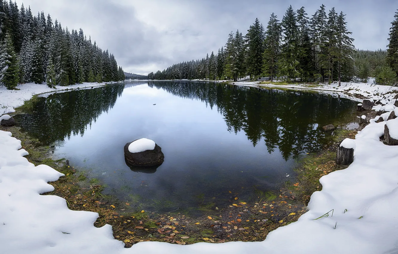 Photo wallpaper autumn, forest, snow, trees, lake, late