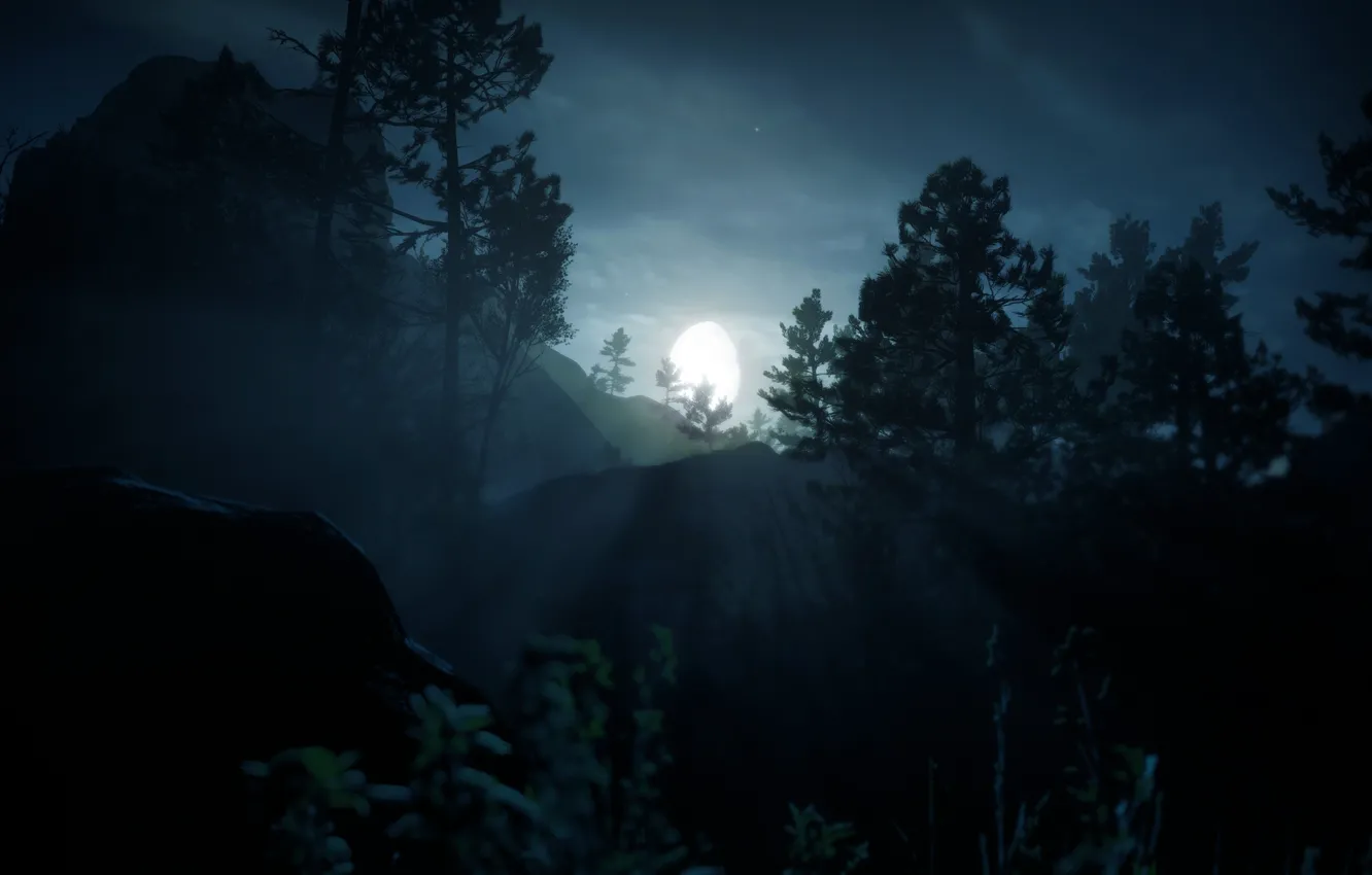 Photo wallpaper Moon, sky, trees, nature, night, clouds, moonlight, mist