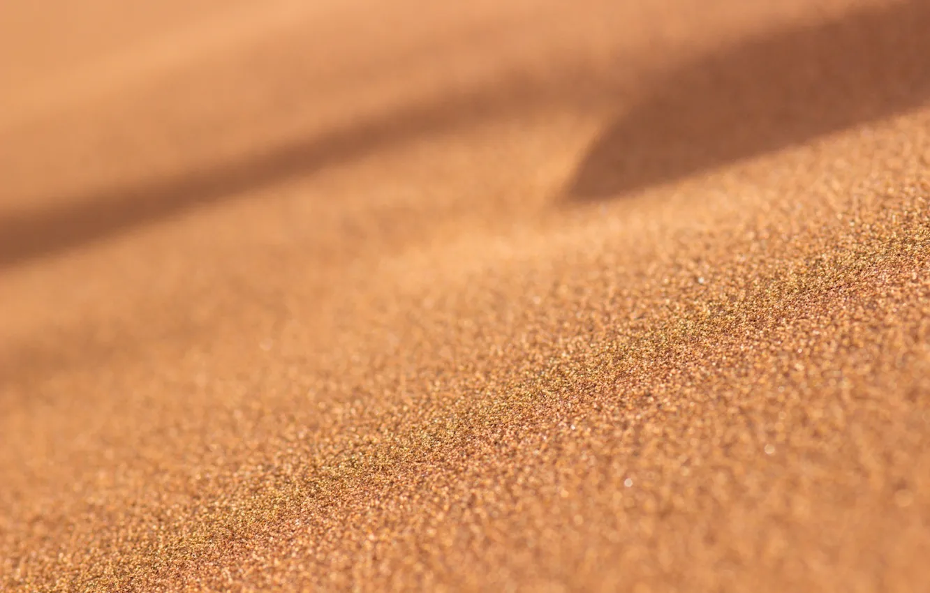 Photo wallpaper sand, macro, desert, grit