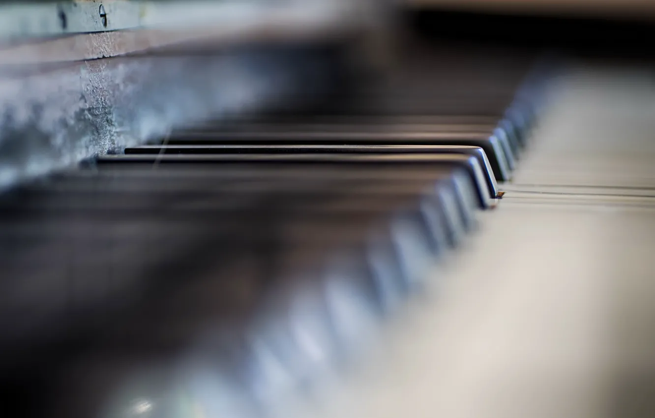 Photo wallpaper macro, music, piano