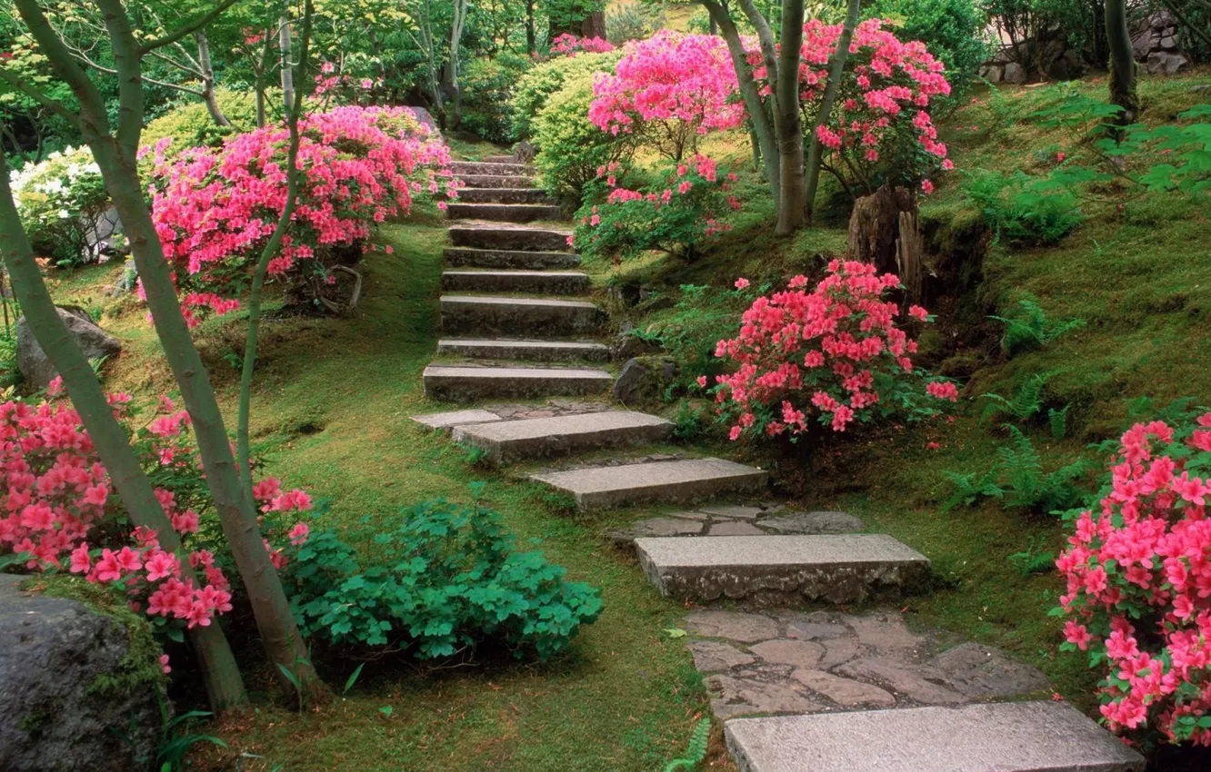 Photo wallpaper grass, trees, flowers, nature, Park, plant, garden, track