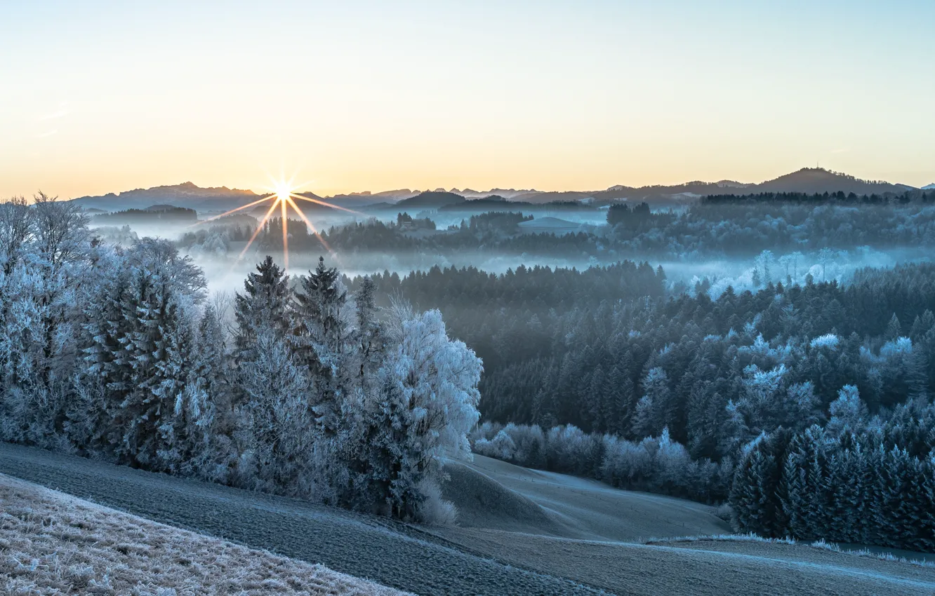 Photo wallpaper winter, light, morning