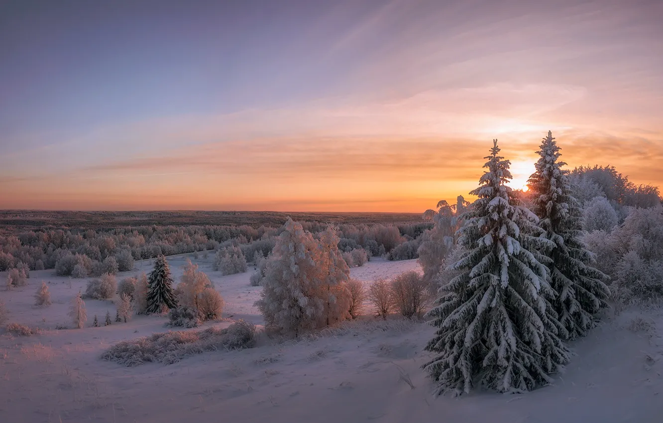 Photo wallpaper winter, snow, trees, landscape, sunset, nature, ate, forest