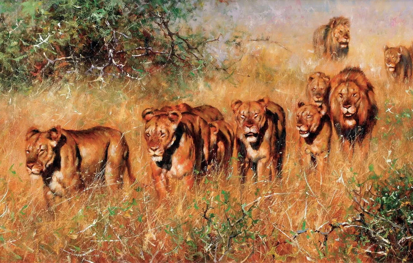 Photo wallpaper Grass, Picture, Lions, Predators, Pride, American artist, Big Cats, Pride of Lions