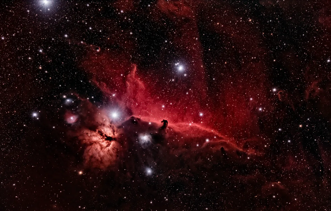 Photo wallpaper space, stars, Horse Head