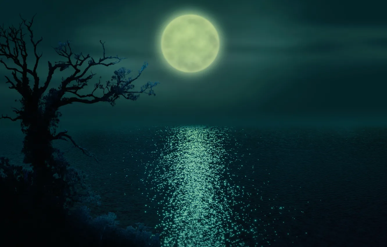 Photo wallpaper night, river, The moon, the ripples on the water, lonely tree