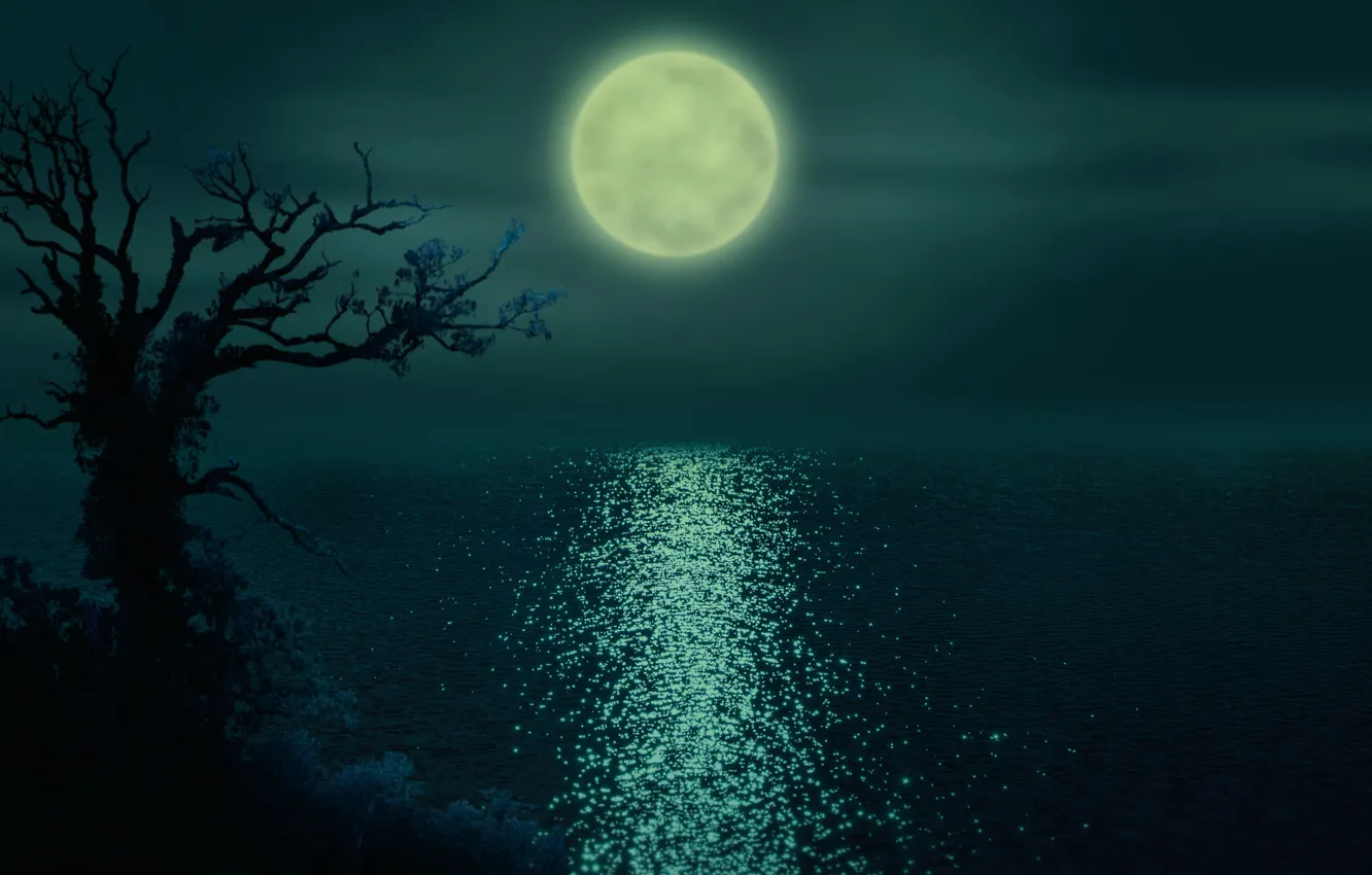 Photo wallpaper night, river, the moon, the ripples on the water, lonely tree