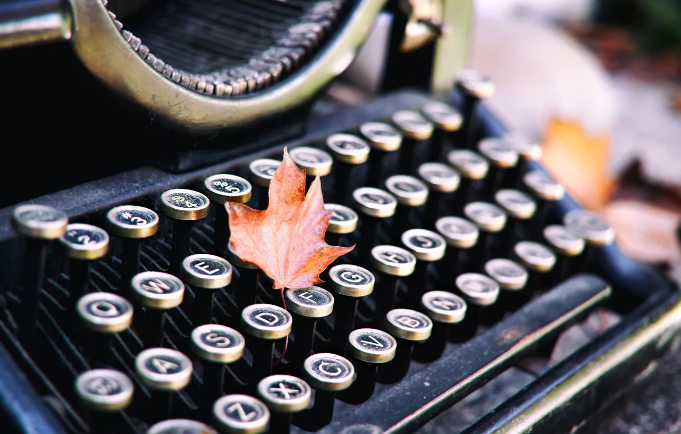 Photo wallpaper leaves, button, machine