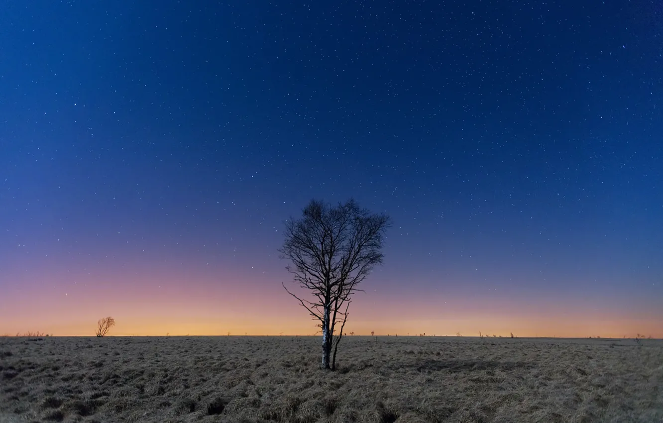 Photo wallpaper space, sky, field, night, stars, tree, moonlight, countryside