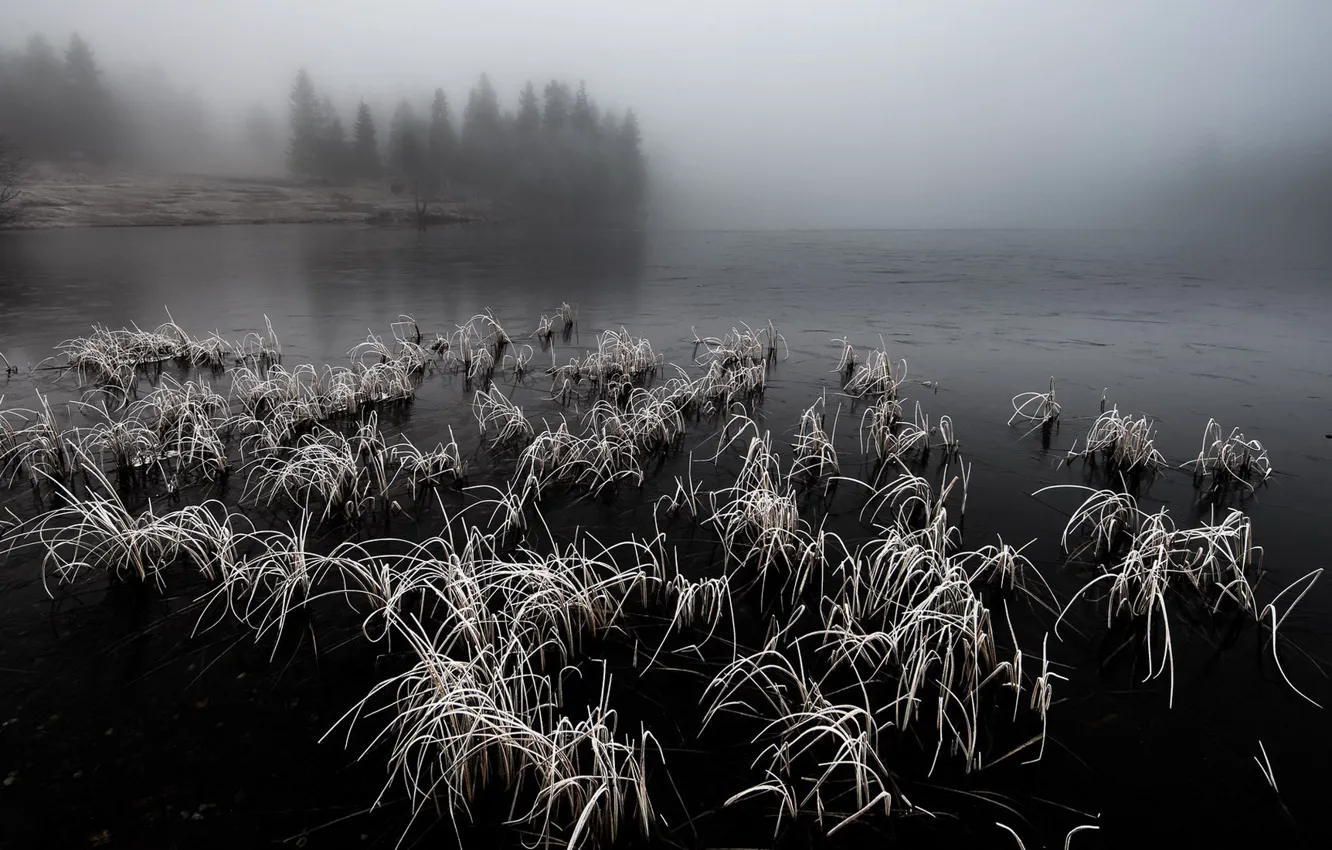Photo wallpaper nature, fog, lake