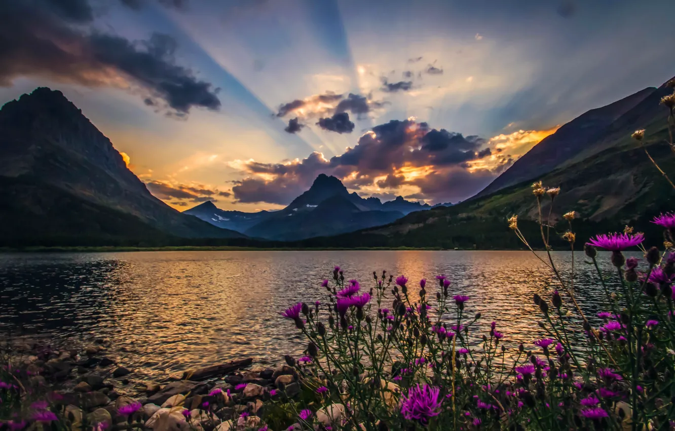Photo wallpaper clouds, rays, landscape, flowers, nature, beautiful