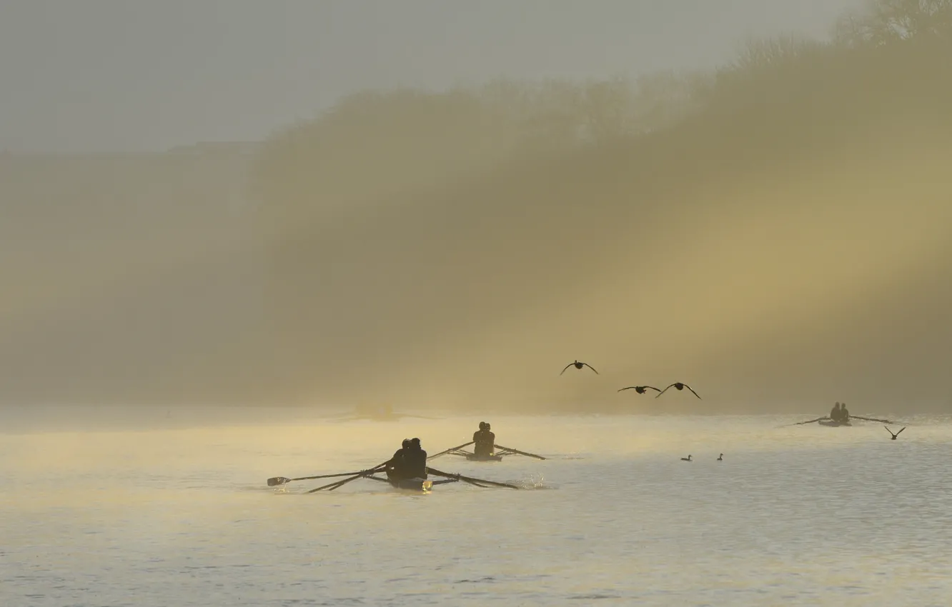 Photo wallpaper fog, river, boat, morning