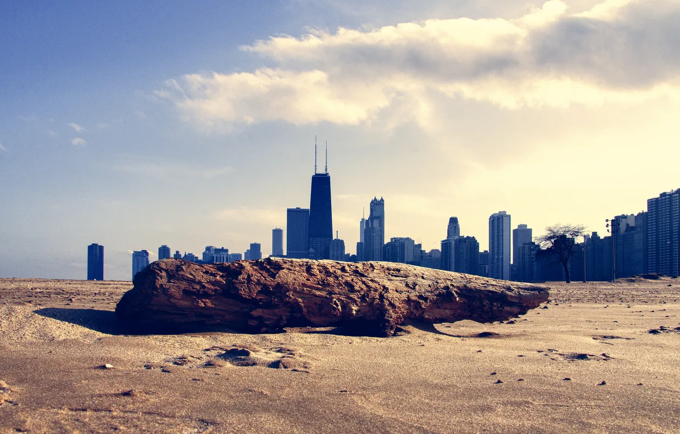 Photo wallpaper beach, skyscrapers, log, Chicago, Chicago, Michigan
