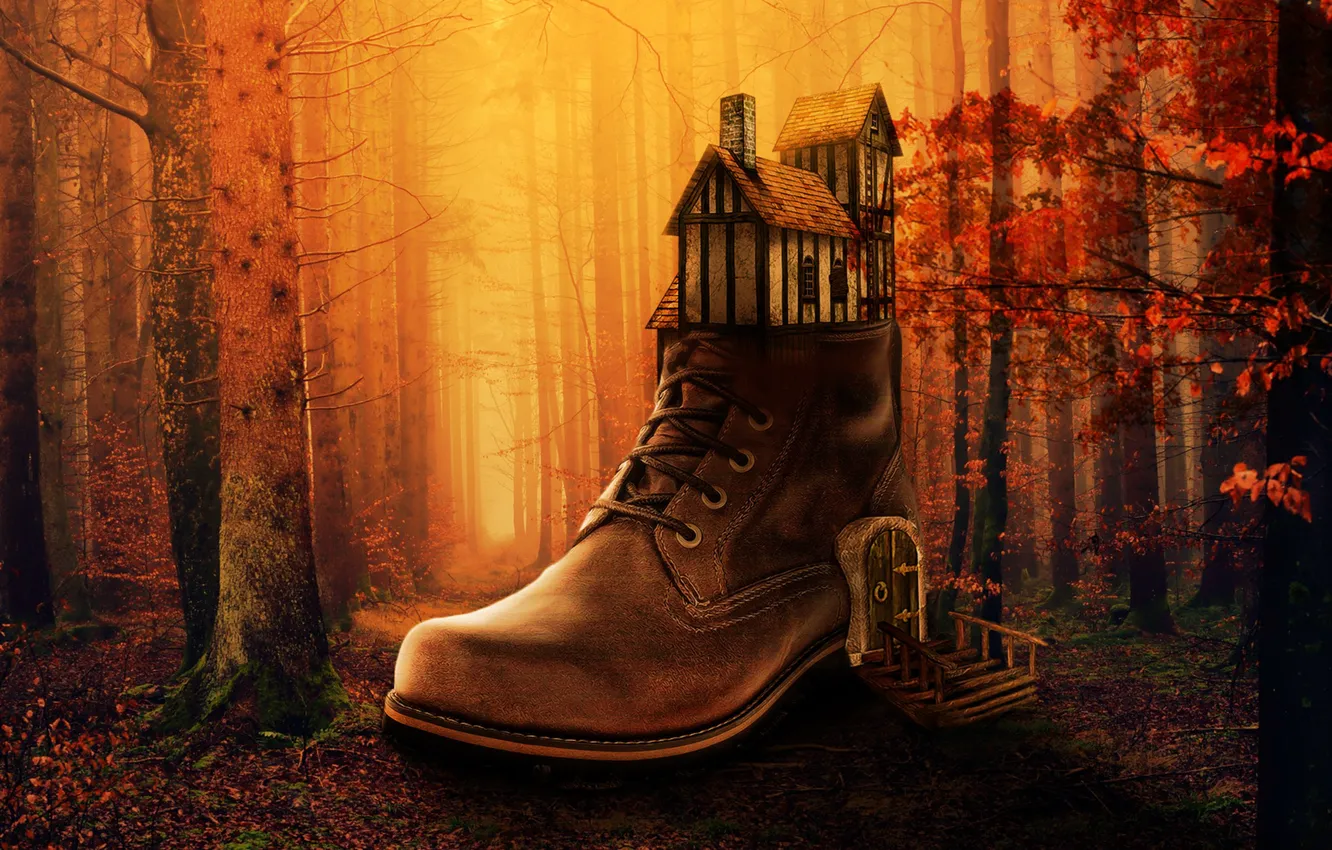 Photo wallpaper autumn, forest, house, shoes