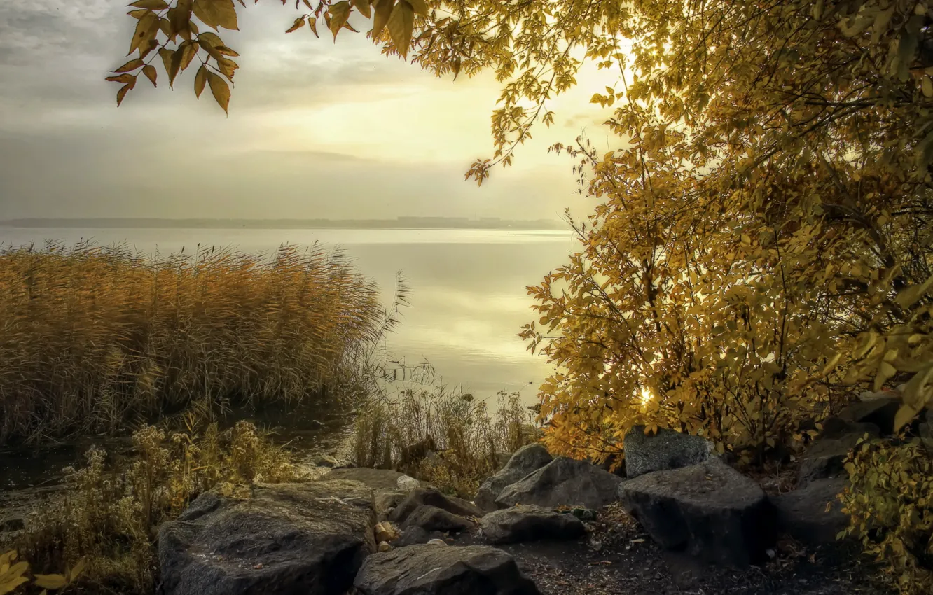 Photo wallpaper autumn, landscape, nature, lake