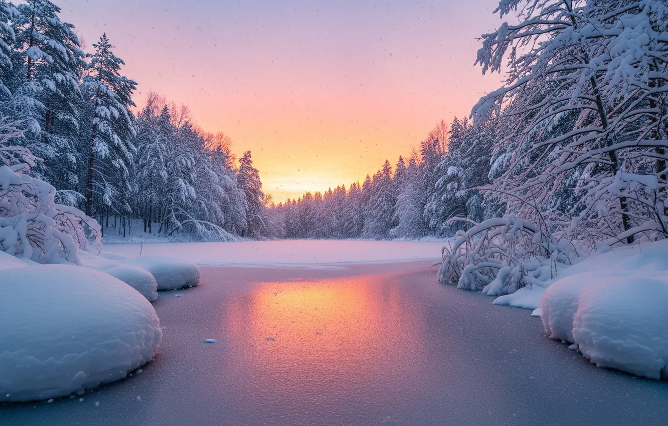 Photo wallpaper winter, forest, the sky, snow, sunset, lake