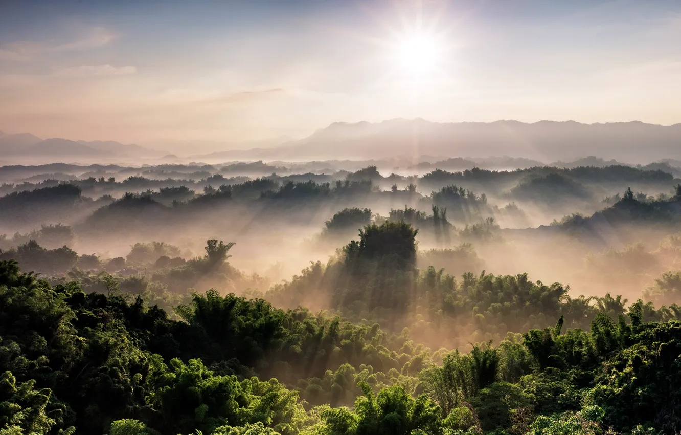Photo wallpaper trees, mountains, fog, morning, panorama, the rays of the sun, forest