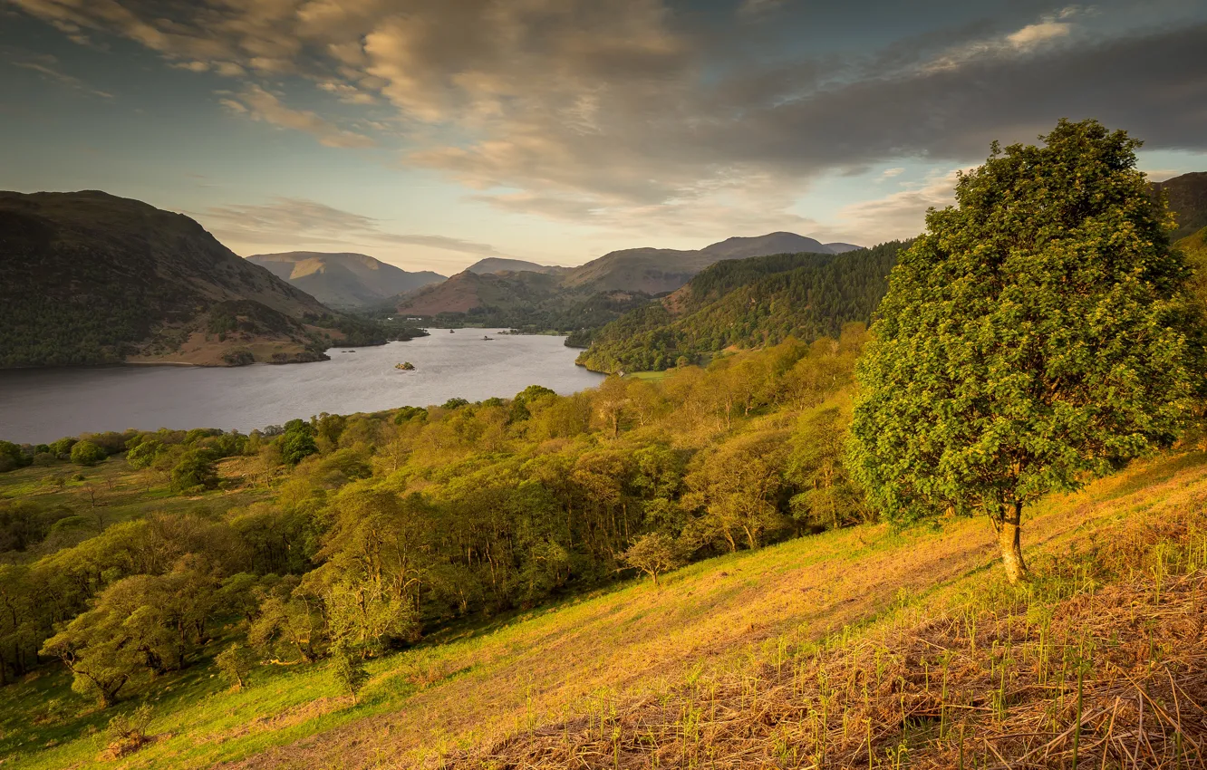 Photo wallpaper autumn, forest, the sky, grass, clouds, trees, landscape, mountains