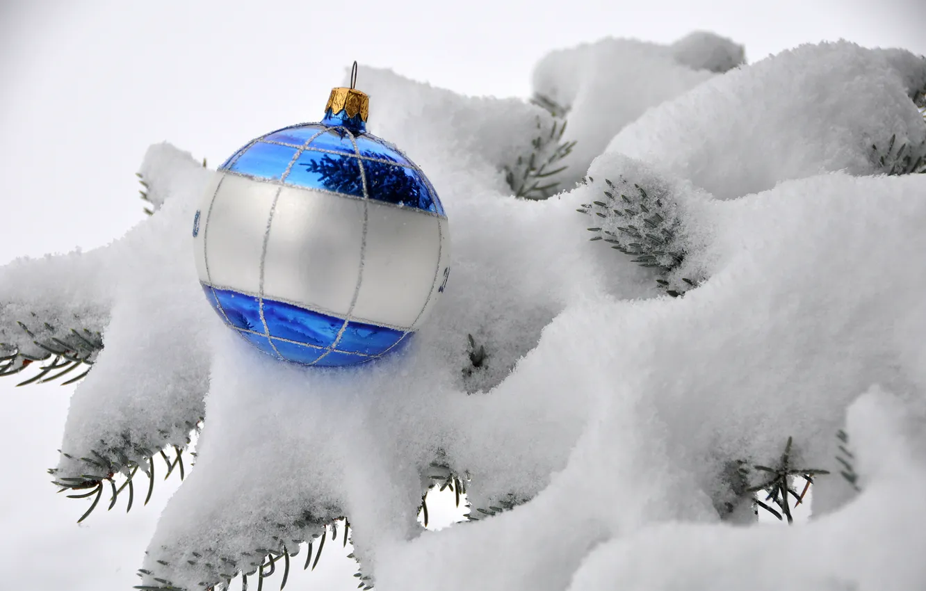 Photo wallpaper winter, white, snow, branches, blue, nature, toy, ball