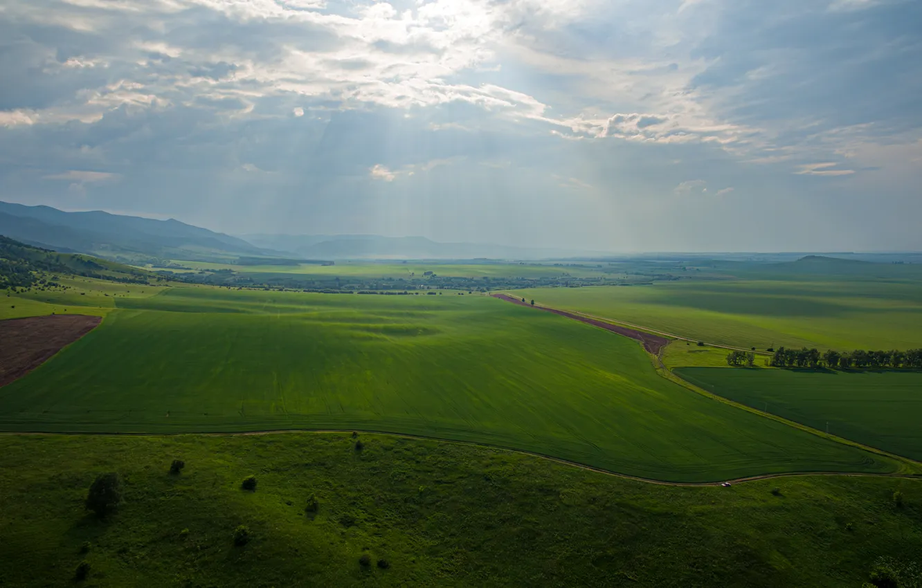 Photo wallpaper field, beauty, valley, horizon, space, the rays of the sun, summer day, Vyacheslav Tatarkin