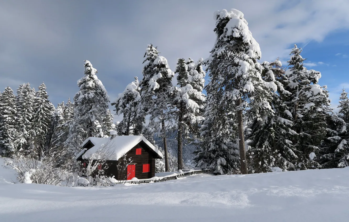 Photo wallpaper winter, snow, home