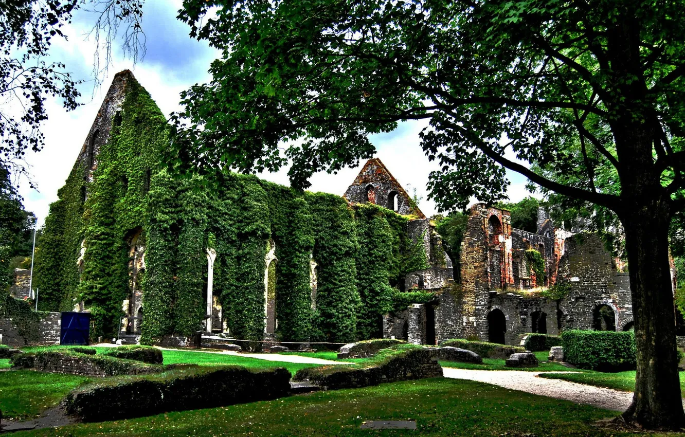 Photo wallpaper city, cathedral, landscape, old, Belgium, ruins, human, architecture