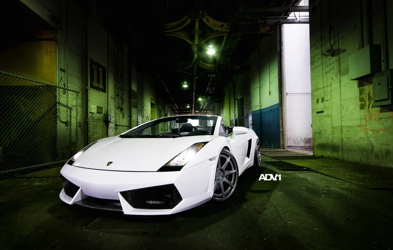 Photo wallpaper white, Lamborghini, Gallardo, Spyder, spider, Lamborghini, Gallardo, ADV.1
