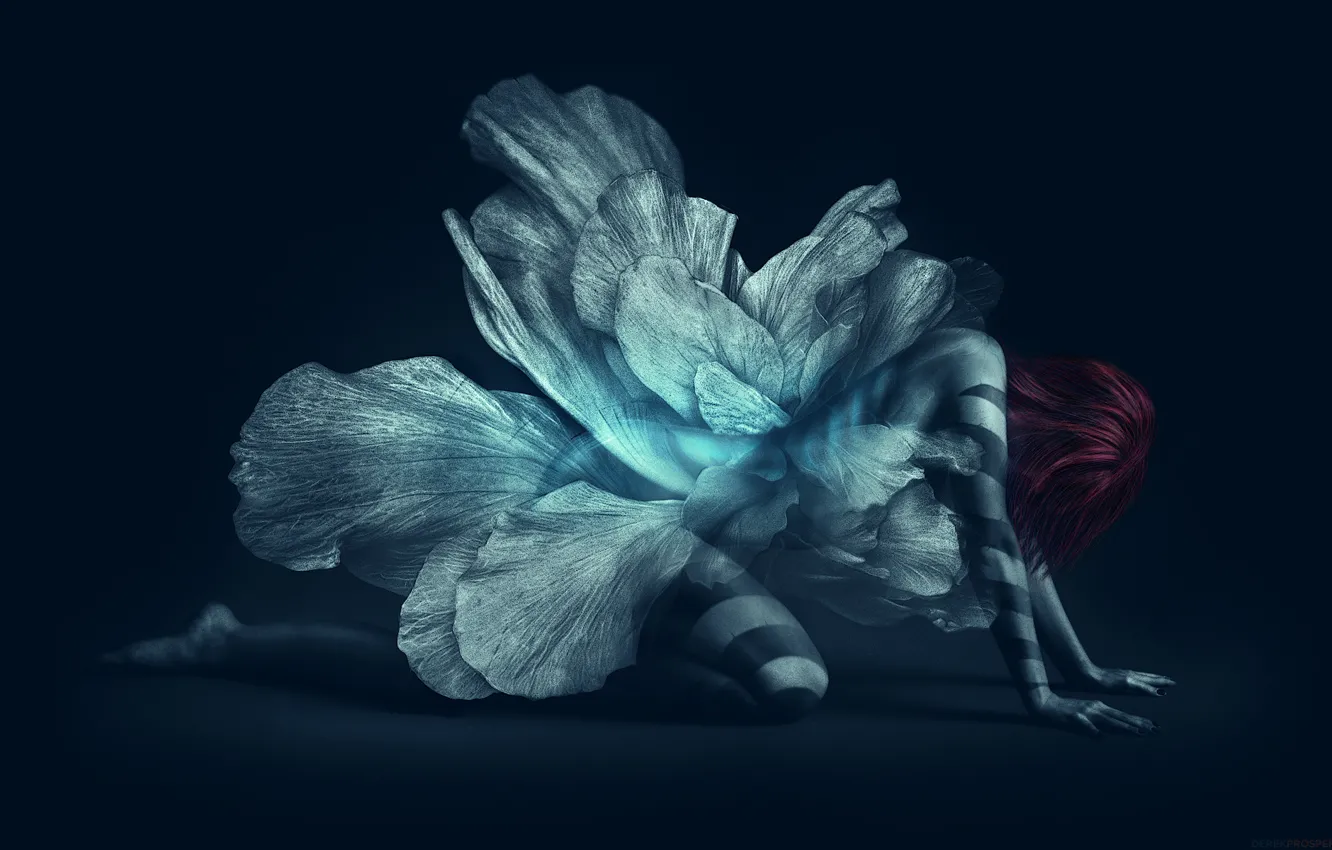 Photo wallpaper girl, flowers, fantasy, I Watched You Change, Derek Prospero, tattoo